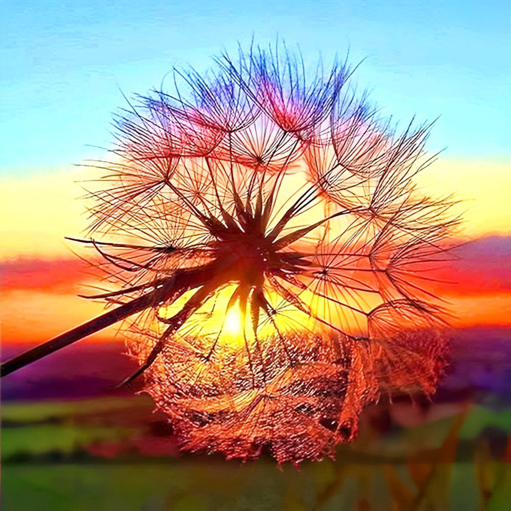 Paardenbloem tegen Zonsonderganschijnsel Diamond Painting