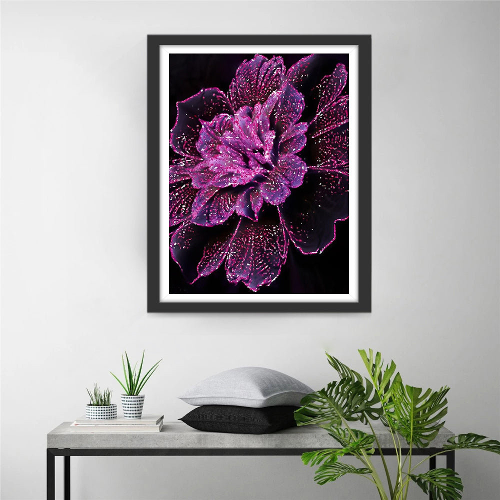 Paars Omrande Bloemen op Zwarte Achtergrond Diamond Painting