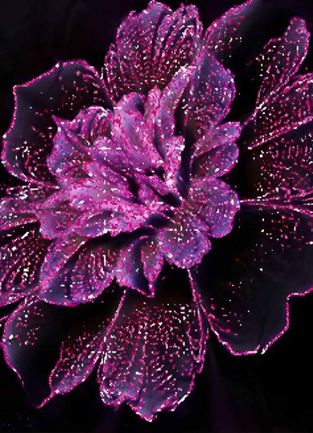 Paars Omrande Bloemen op Zwarte Achtergrond Diamond Painting