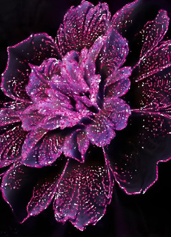 Paars Omrande Bloemen op Zwarte Achtergrond Diamond Painting