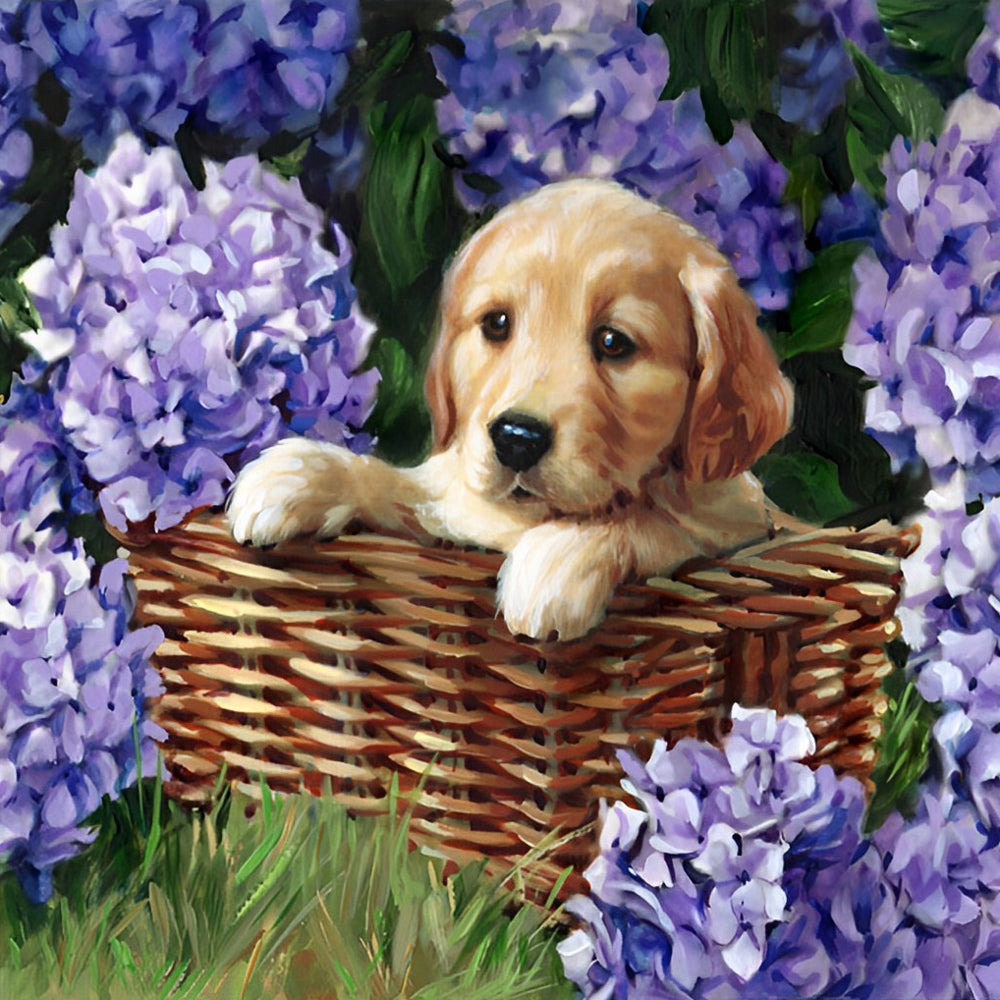 Paarse Hortensia en Golden Retriever in een Mand Diamond Painting