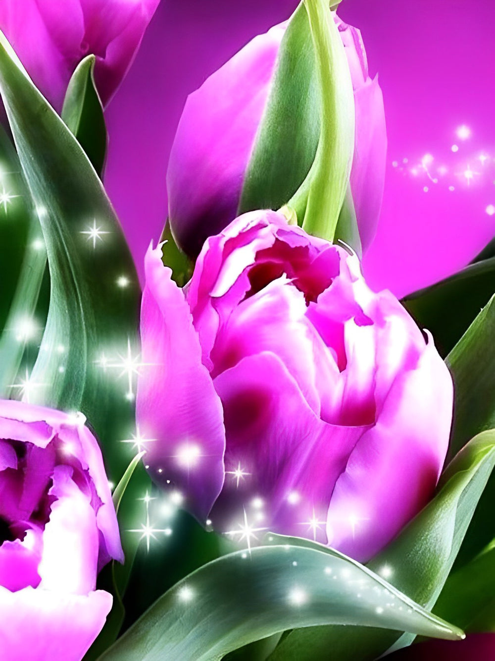 Paarse Tulpen Diamond Painting