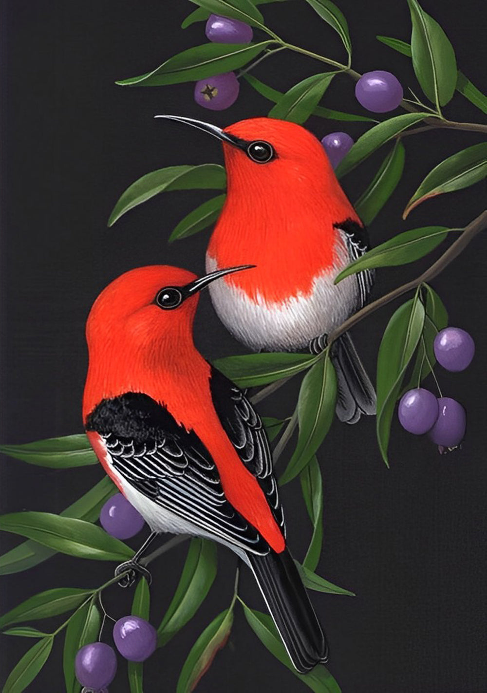 Paarse Vruchten en Twee Vogels Diamond Painting