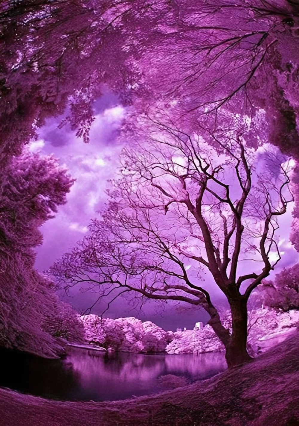 Paarse Wereld Diamond Painting