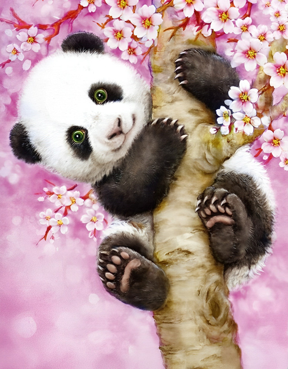Panda in een Kersenboom Diamond Painting