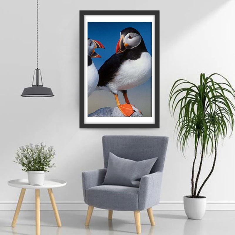 Papegaaiduikers Diamond Painting