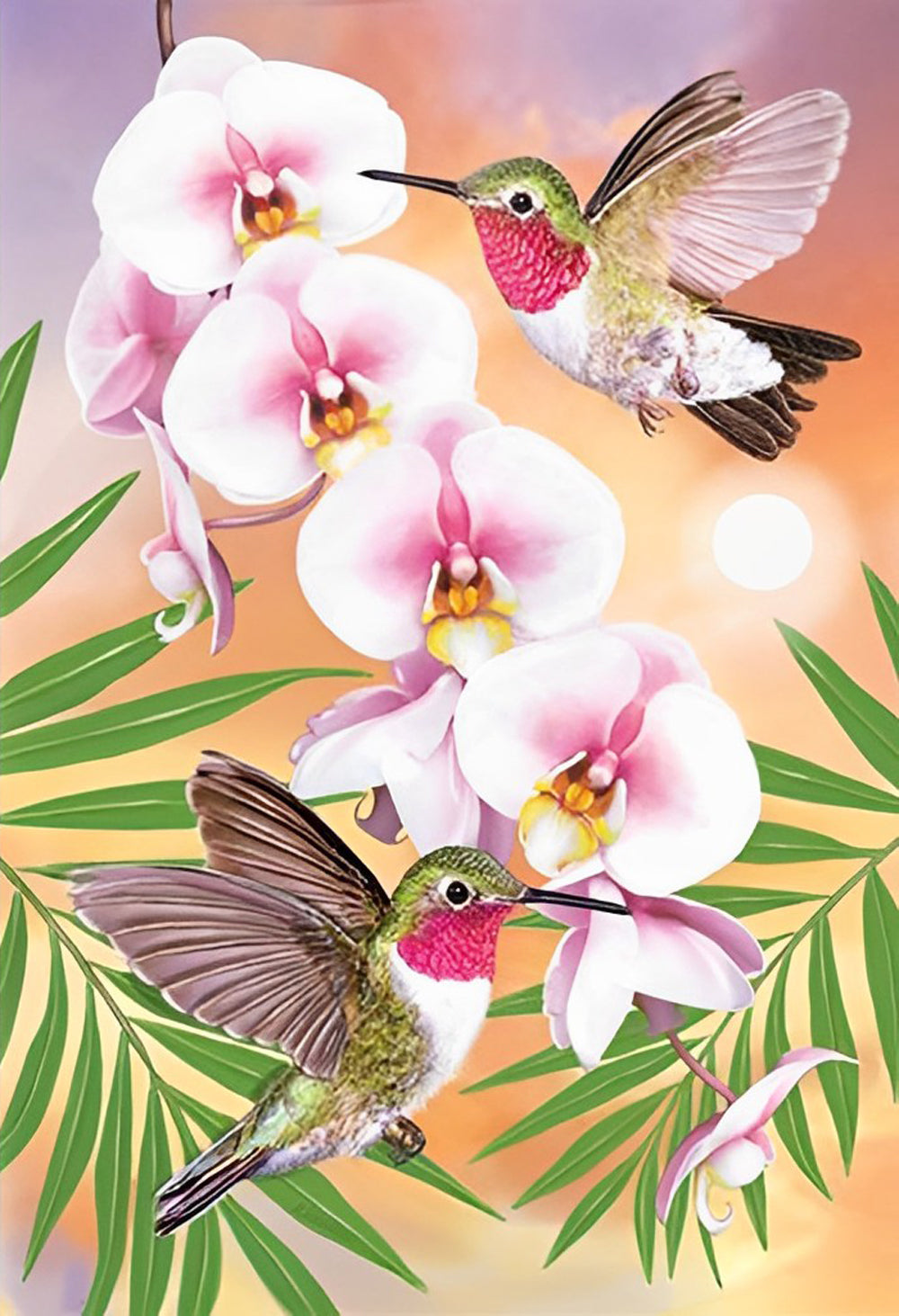 Phalaenopsis en Vogels Diamond Painting