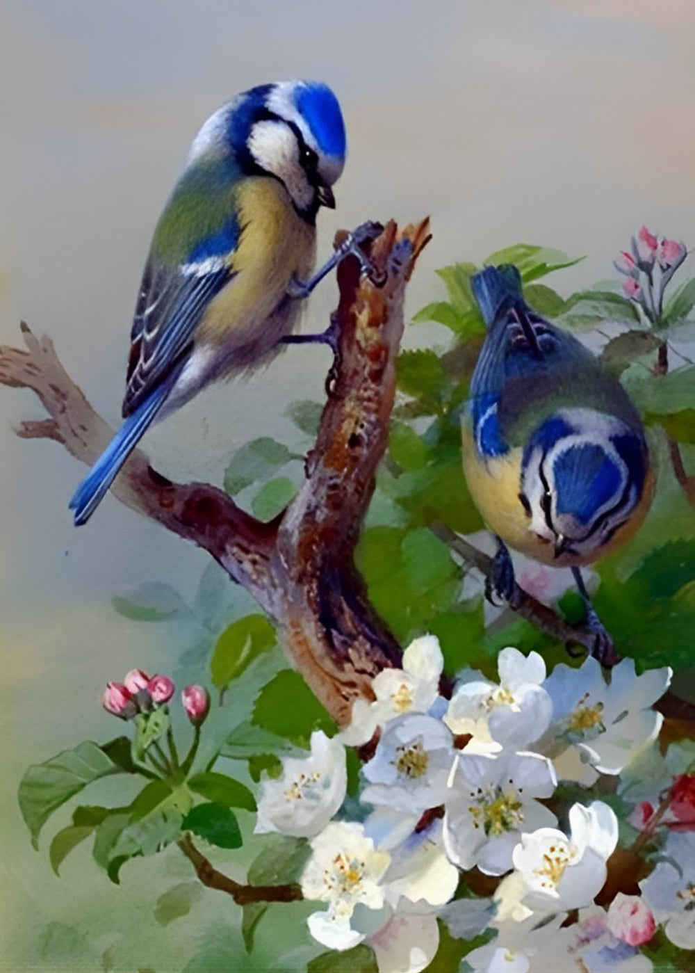 Pimpelmezen en Bloemen Diamond Painting