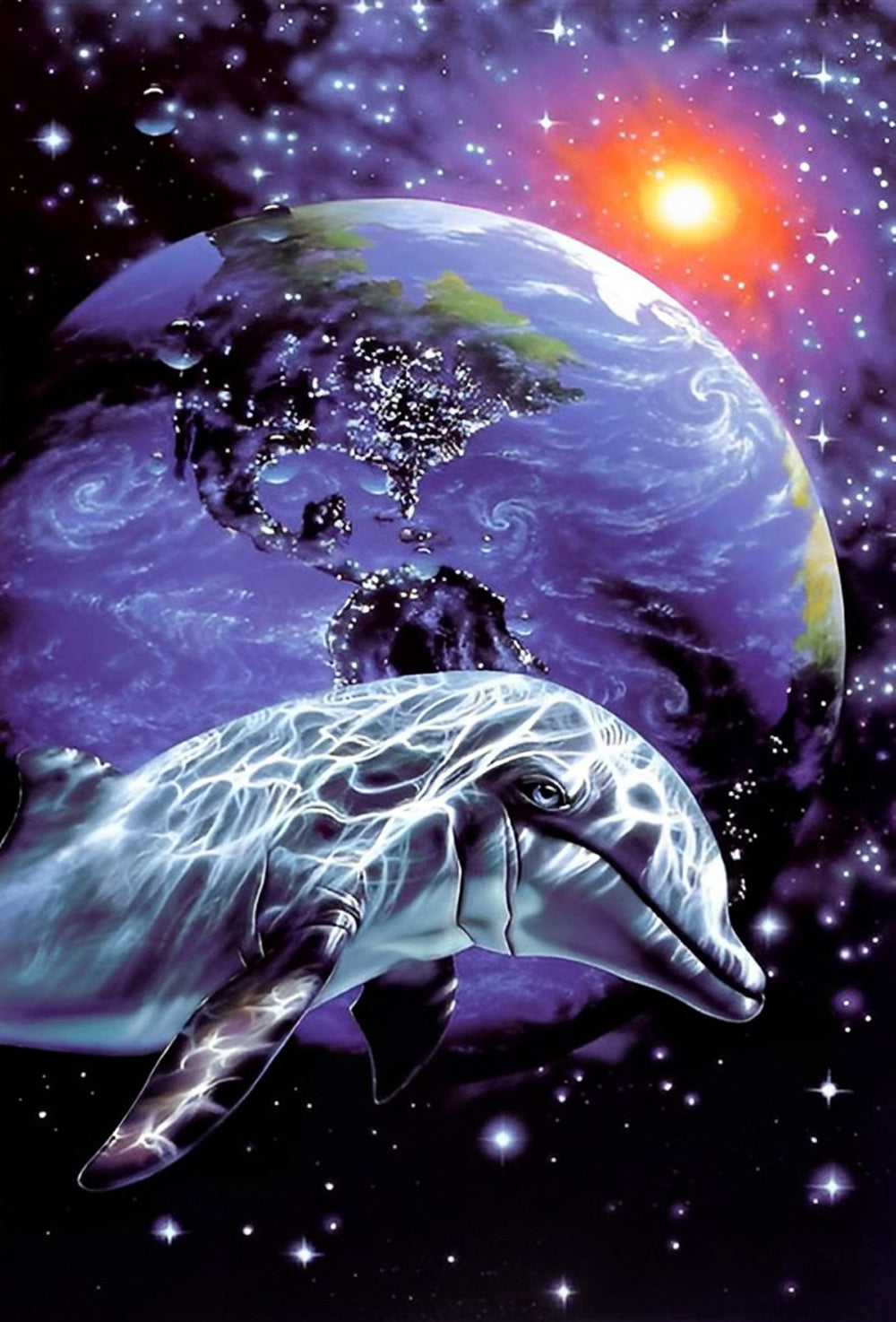 Planeet en Dolfijn Diamond Painting
