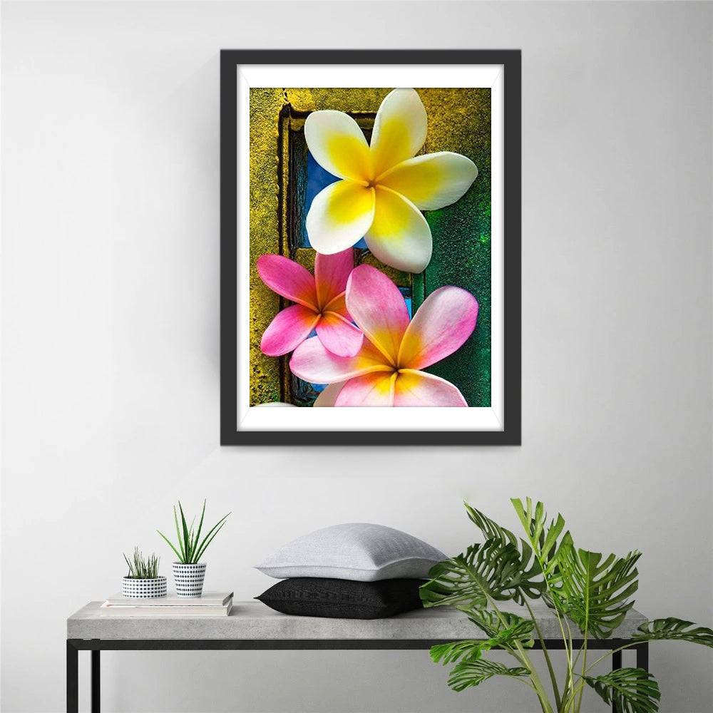 Plumeria Bloemen tegen Kleurrijk Achtergrond Diamond Painting