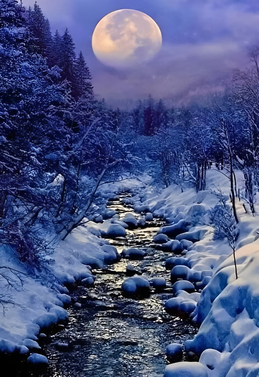 Prachtige Winterstilte onder de Volle Maan aan de Sneeuwrivier Diamond Painting