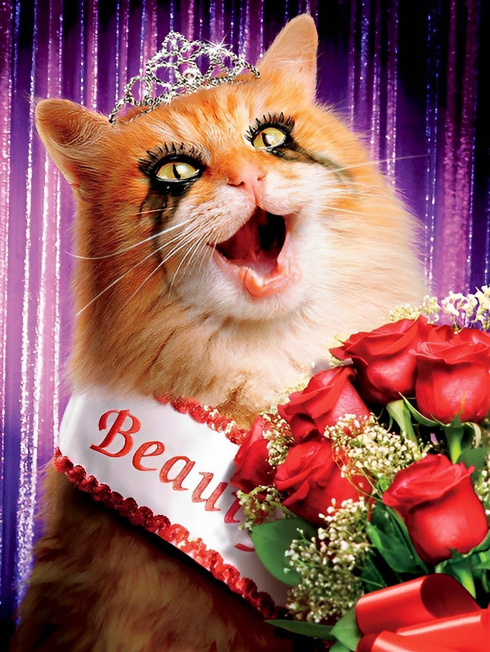 Prijswinnende Kat met een Boeket Rozen Diamond Painting
