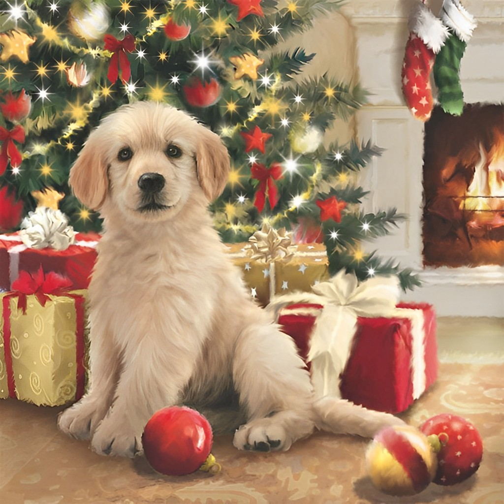 Puppy met Geschenken Diamond Painting