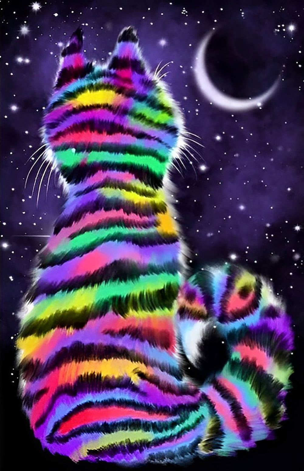 Regenboogkat Kijkend naar de Maansikkel Diamond Painting