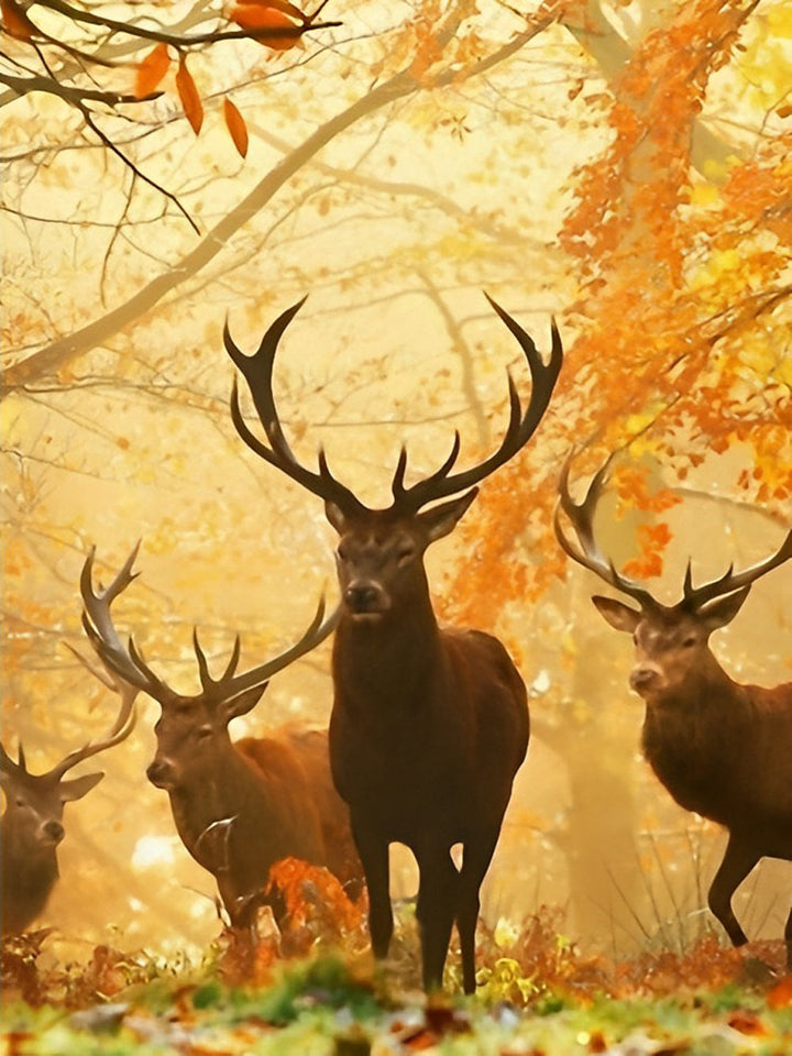 Rendieren in het Herfstbos Diamond Painting
