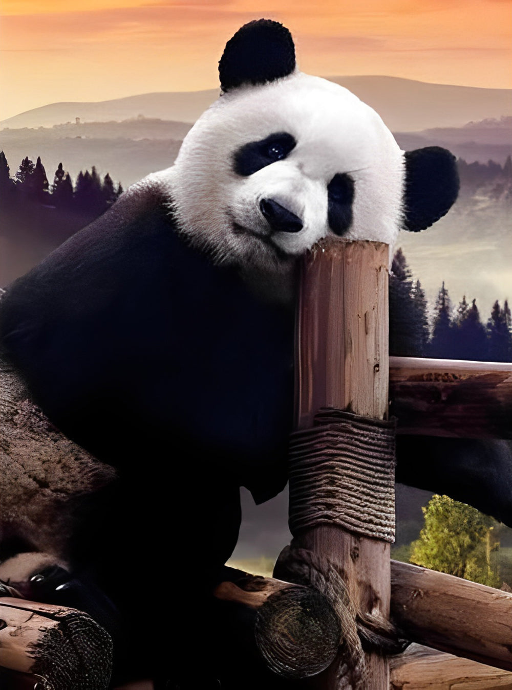 Reuzenpanda op het Hek Diamond Painting