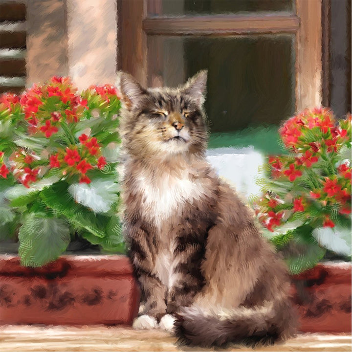 Rode Potbloemen en Kat voor het Raam Diamond Painting