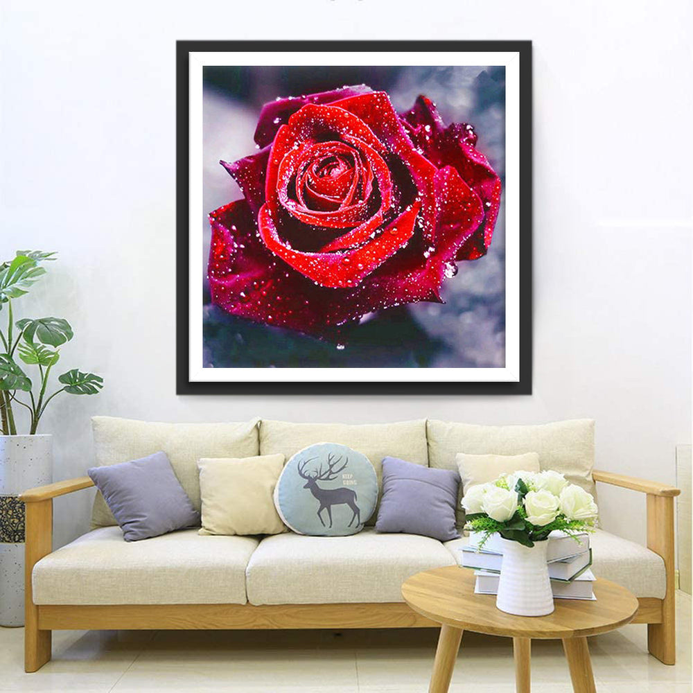 Romantische Rode Roos met Glinsterende Druppels Diamond Painting