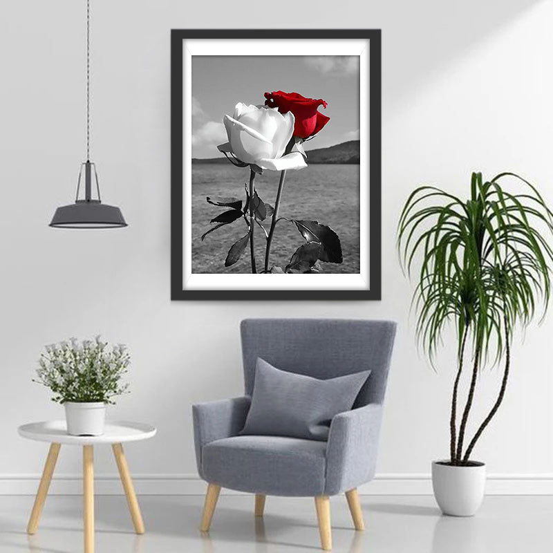 Rood en Wit Diamond Painting