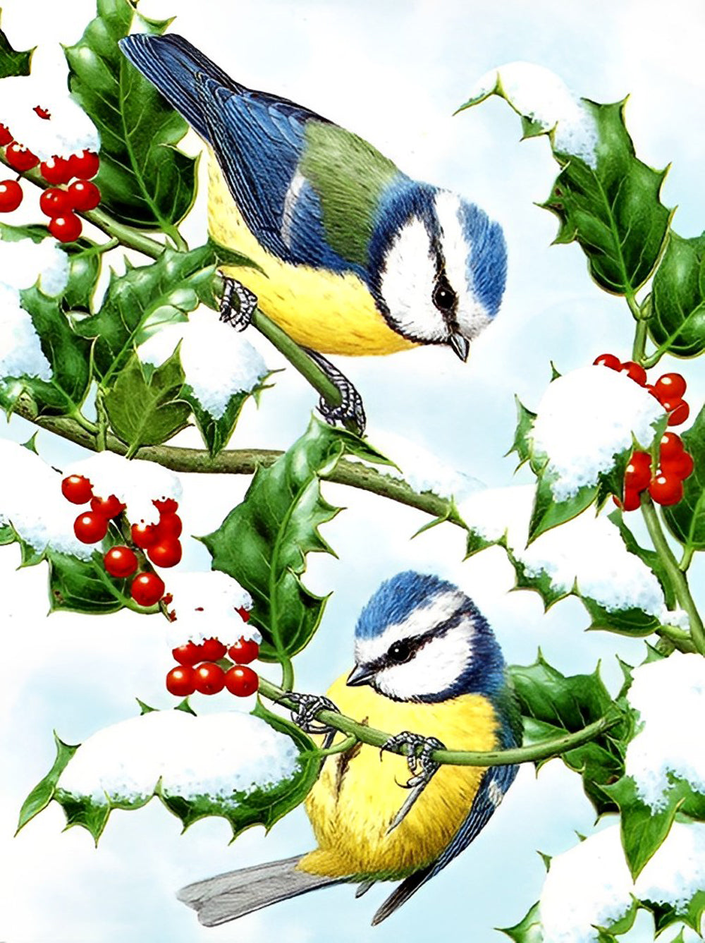 Rood Fruit en Vogels Diamond Painting