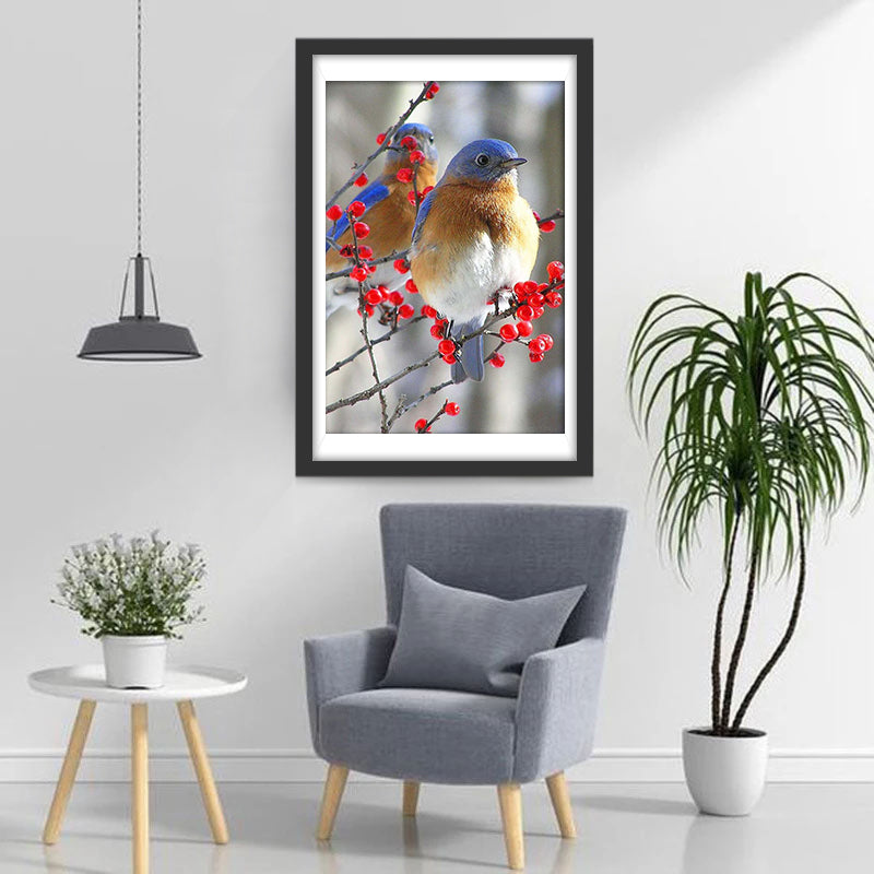 Roodkeelblauwborst Diamond Painting