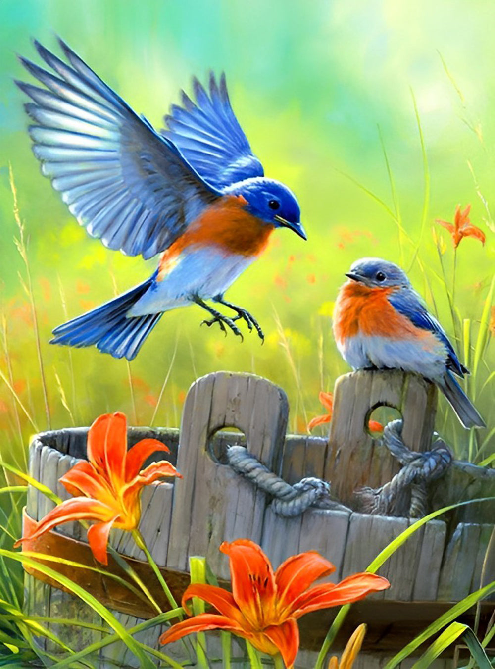Roodkeelblauwborstje op een Ton Diamond Painting