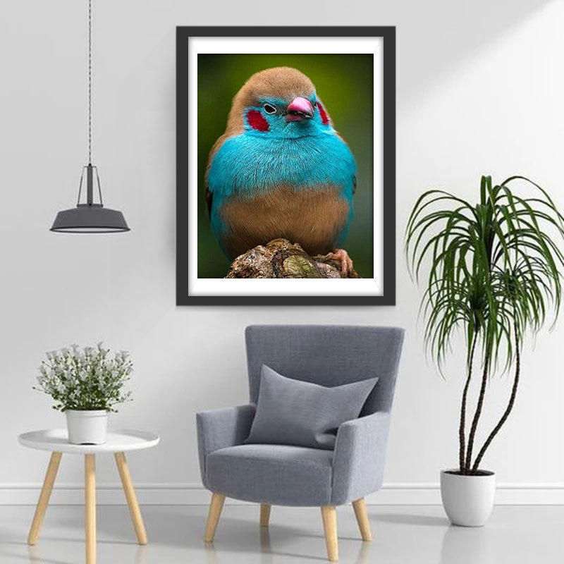 Roodwang Cordon-bleu Vogel Diamond Painting