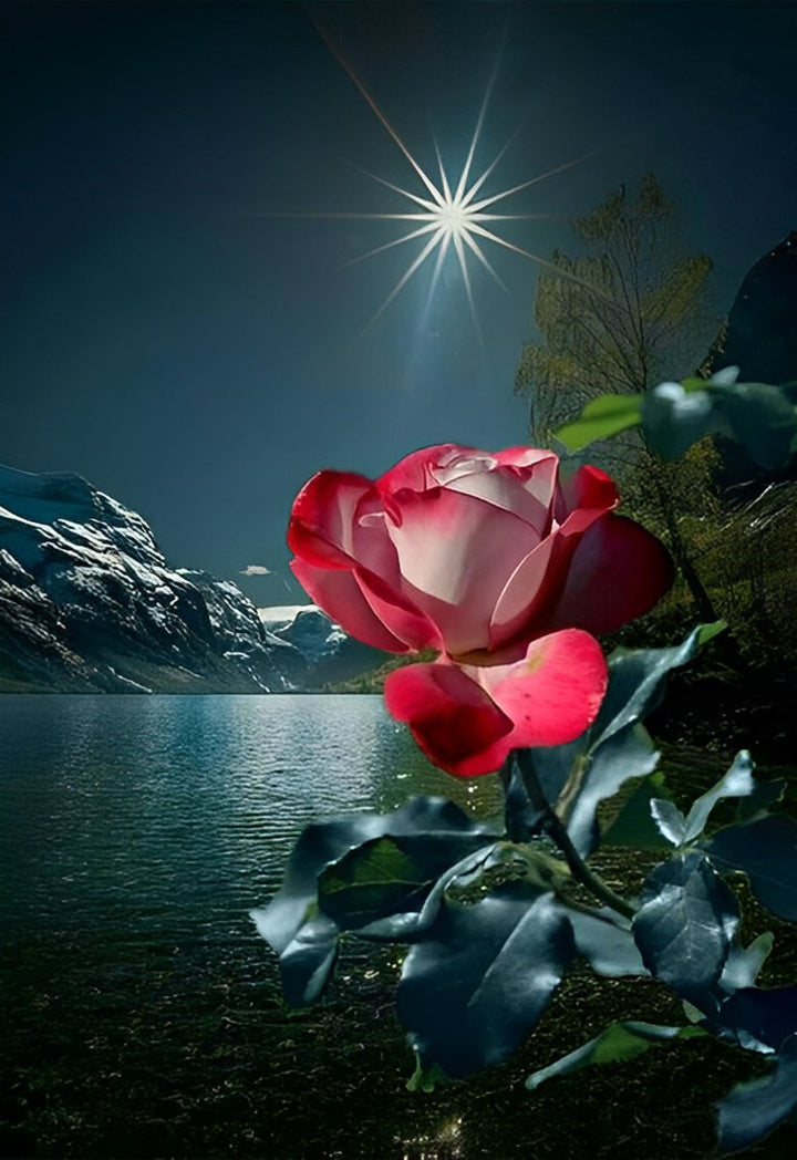 Roos in Maanlicht Diamond Painting