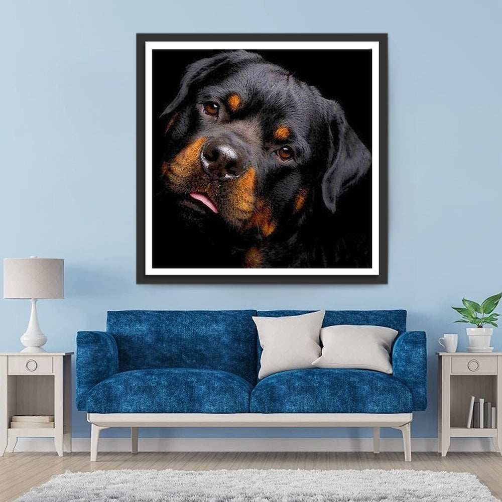 Rottweiler Hond Diamond Painting