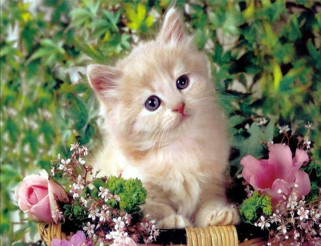 Roze Bloem en Kitten Diamond Painting