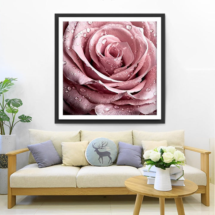 Roze Roos met Waterdruppels Diamond Painting