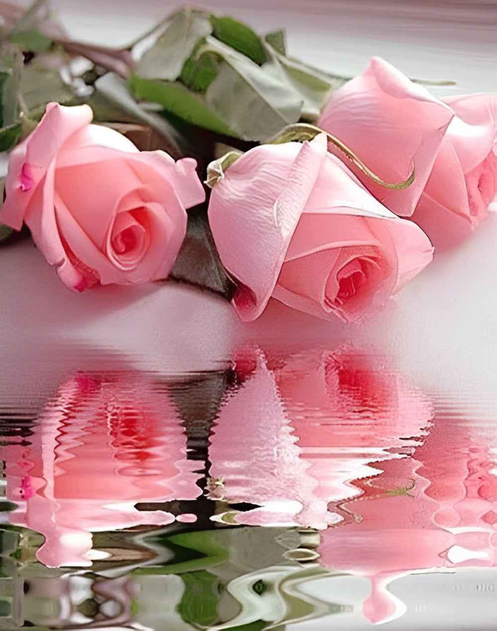Roze Rozen Weerspiegeld in het Water Diamond Painting