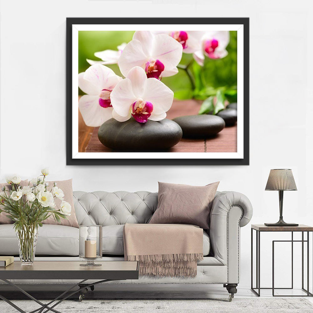 Roze-witte Orchidee Diamond Painting