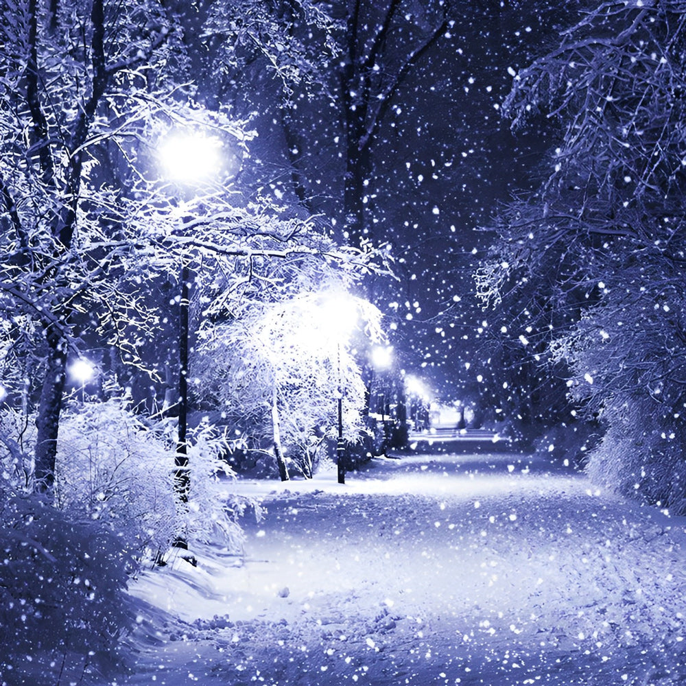 Rust van Sneeuw in Donkere Nacht Diamond Painting