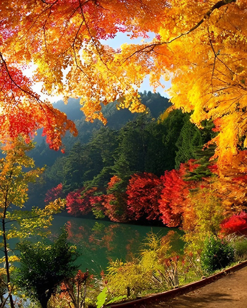 Rustige Herfstpoëzie Diamond Painting
