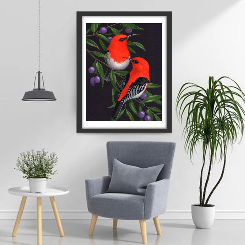 Scharlaken Honingeter Diamond Painting