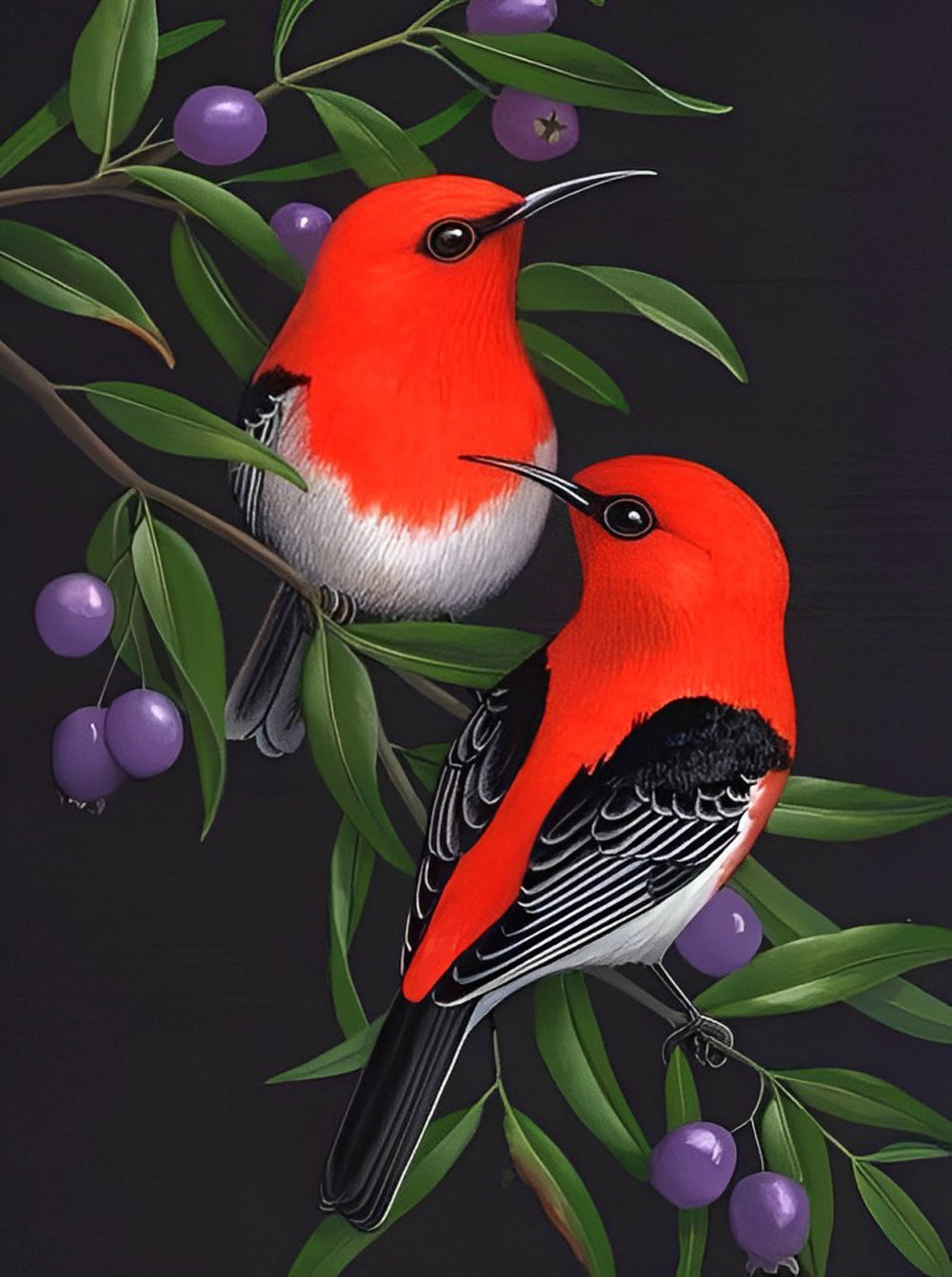 Scharlaken Honingeter Diamond Painting