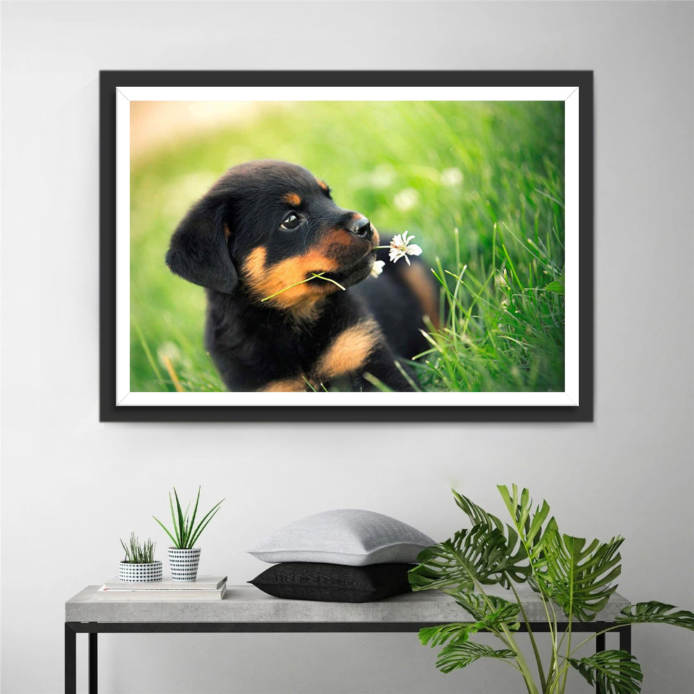 Schattig Hondje met een Bloem Diamond Painting