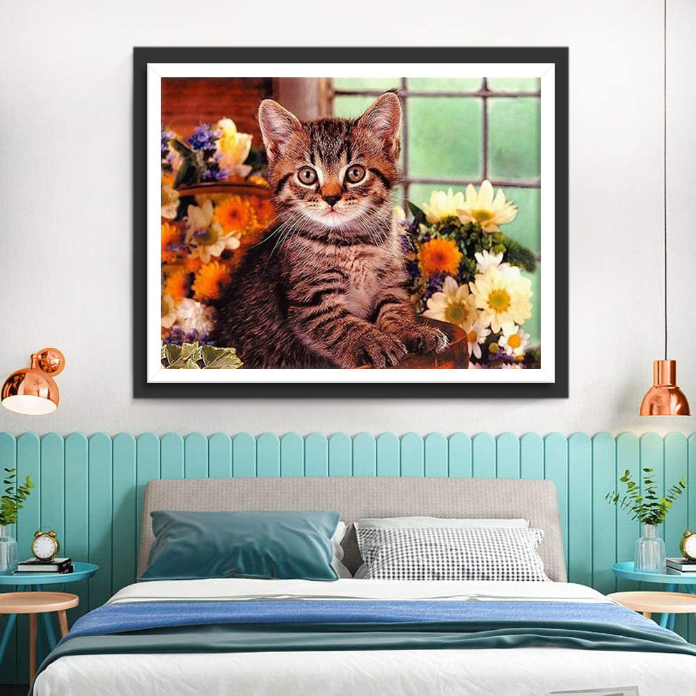 Schattig Kitten op de Vensterbank Diamond Painting