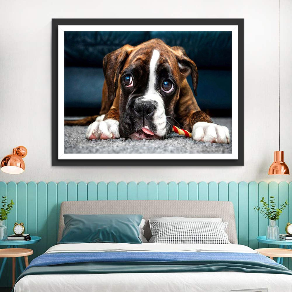 Schattige Puppy Kijkt omhoog Diamond Painting