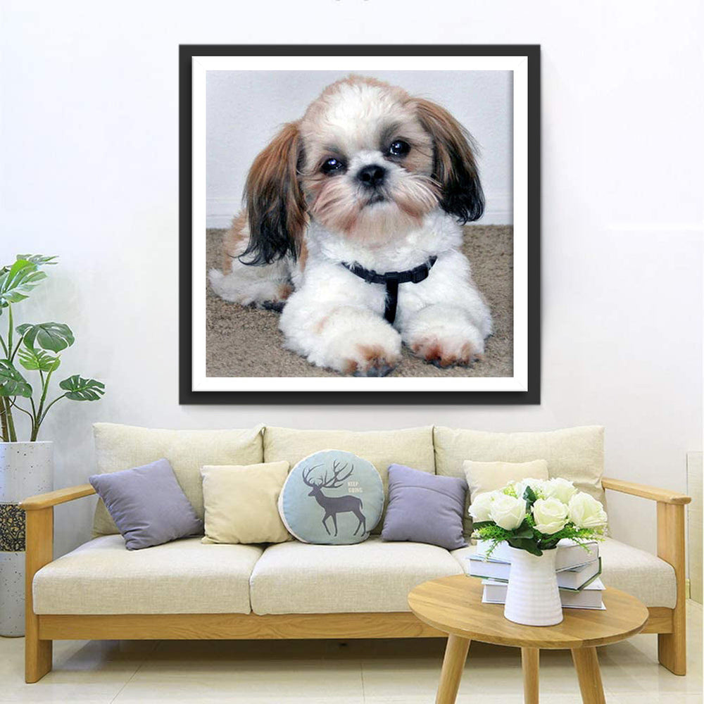 Schattige Shih Tzu Diamond Painting