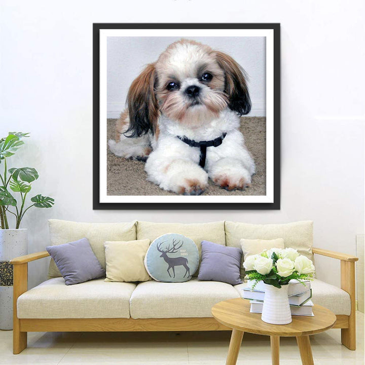 Schattige Shih Tzu Diamond Painting