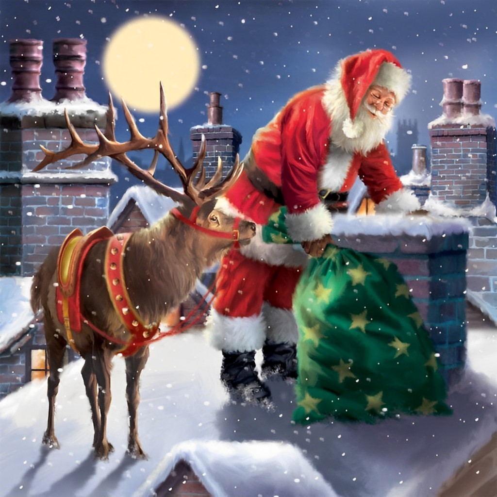 Sint en het Rendier op het Dak Diamond Painting