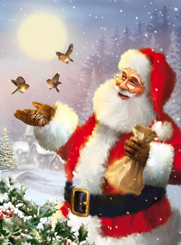 Sint met Zijn Vogelvriendjes in de Winterse Gloed Diamond Painting