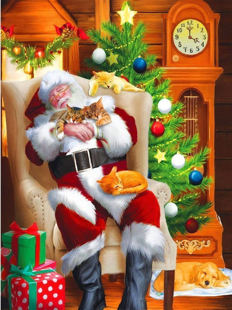 Sinterklaas Slaapt met Kat op Schoot Diamond Painting