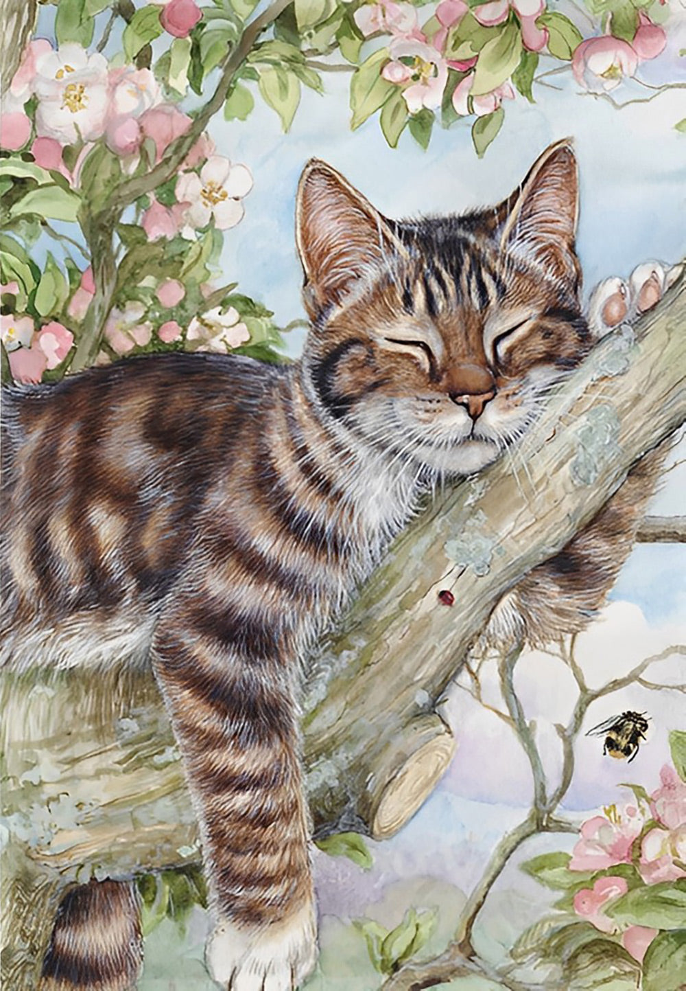 Slapende Kat op Boom Diamond Painting