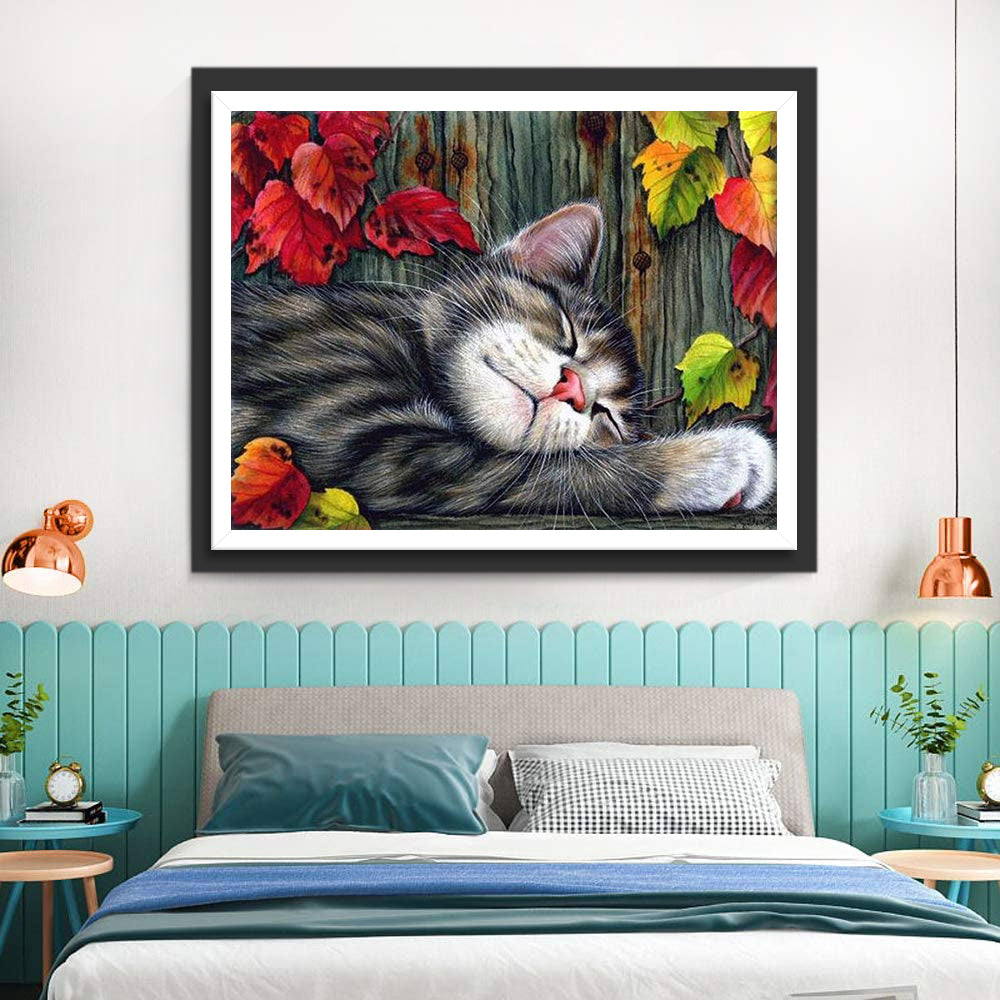 Slapende Kat voor een Houten Deur Diamond Painting