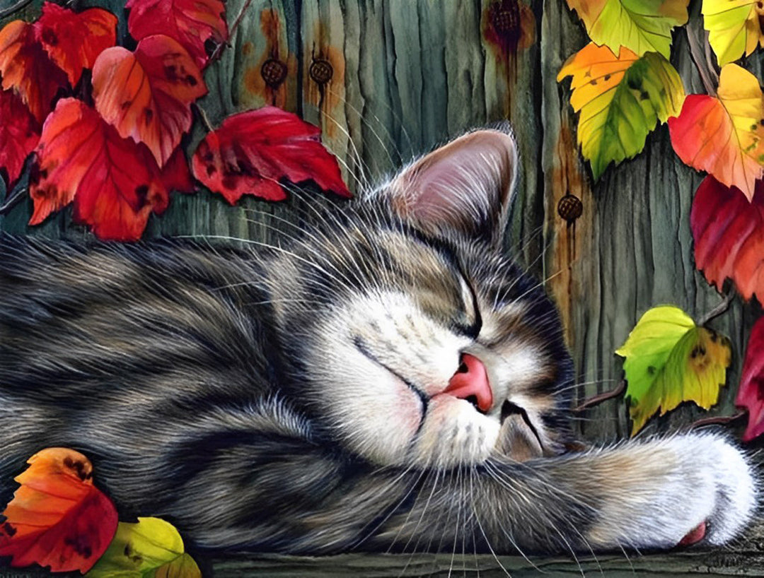 Slapende Kat voor een Houten Deur Diamond Painting