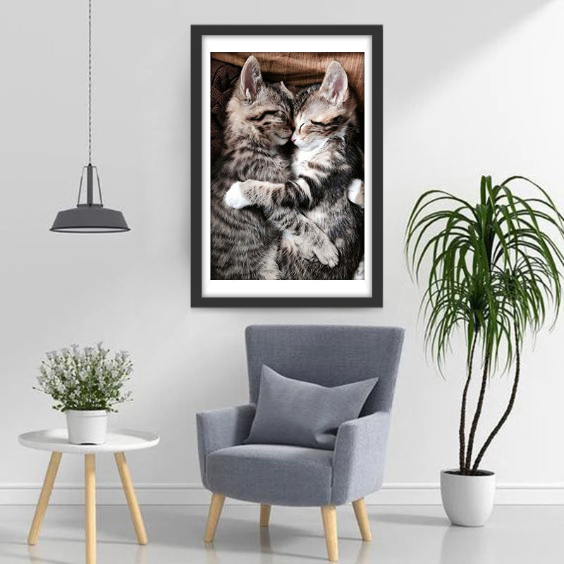 Slapende Kittens in Omhelzing Diamond Painting