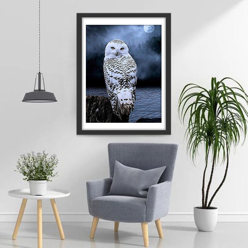 Sluwe Uil op een Maanverlichte Nacht Diamond Painting
